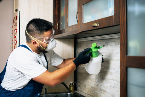 Best Pest Removal Services  in Kerens, TX