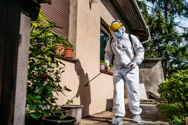 Professional Pest Control in Kerens, TX