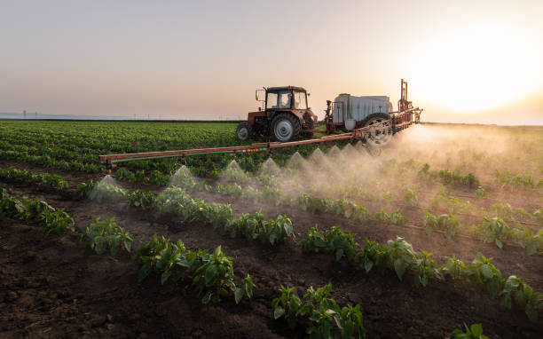 Best Pest Prevention Services  in Kerens, TX