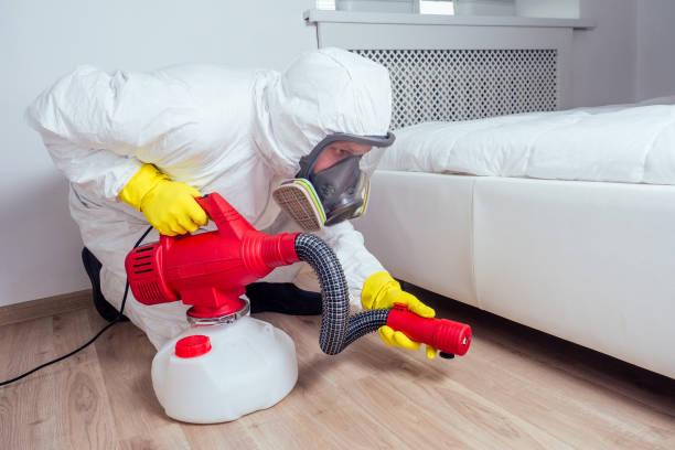Reliable Kerens, TX Pest Control Solutions