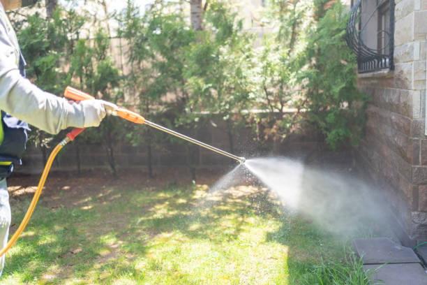 Best Local Pest Control Services  in Kerens, TX