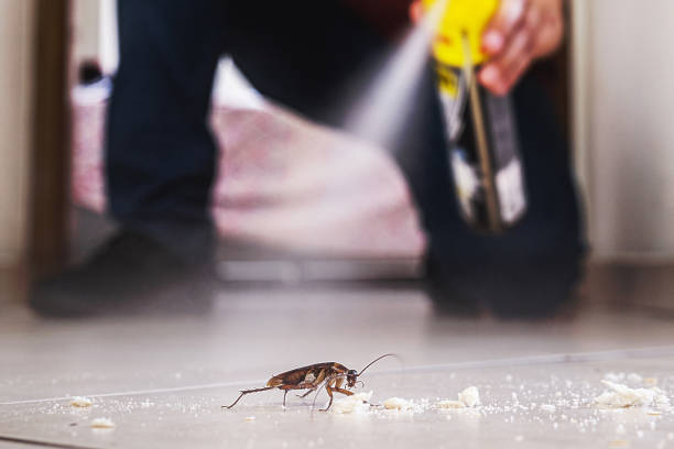 Best Best Pest Control Companies  in Kerens, TX